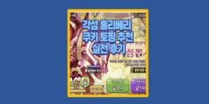홀리베리 쿠키