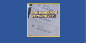 전국민 민생회복지원금