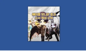 메이플스토리 유니온